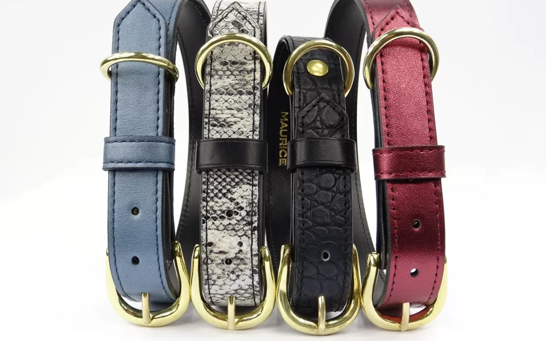 Collier pour chien en cuir GORILLA BERINGEI BERINGEI