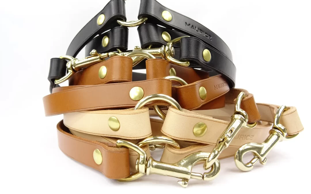 Grande laisse polyvalente en cuir pour chien RHINOCEROS SONDAICUS