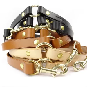 laisses chiens multipostes rhinoceros sondaicus famille