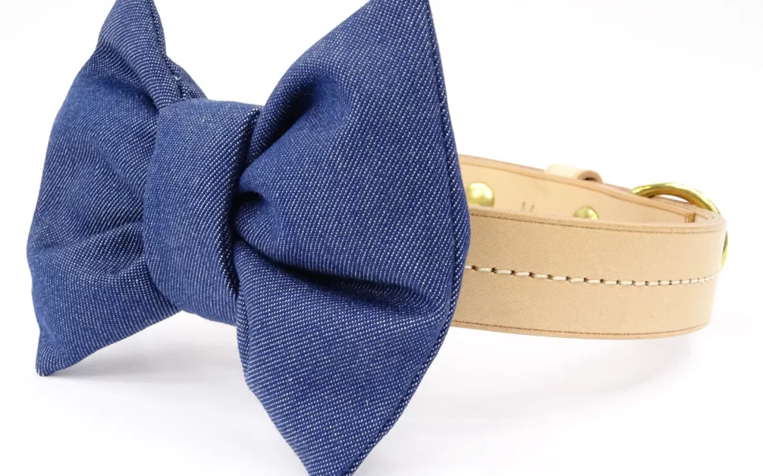 Kit collier + noeud papillon pour chien SoChic MAURICE