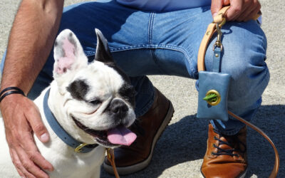 Les balades, c&rsquo;est toute leur vie !