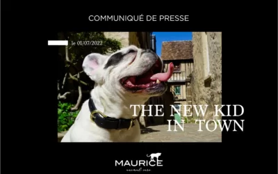 The New Kid In Town