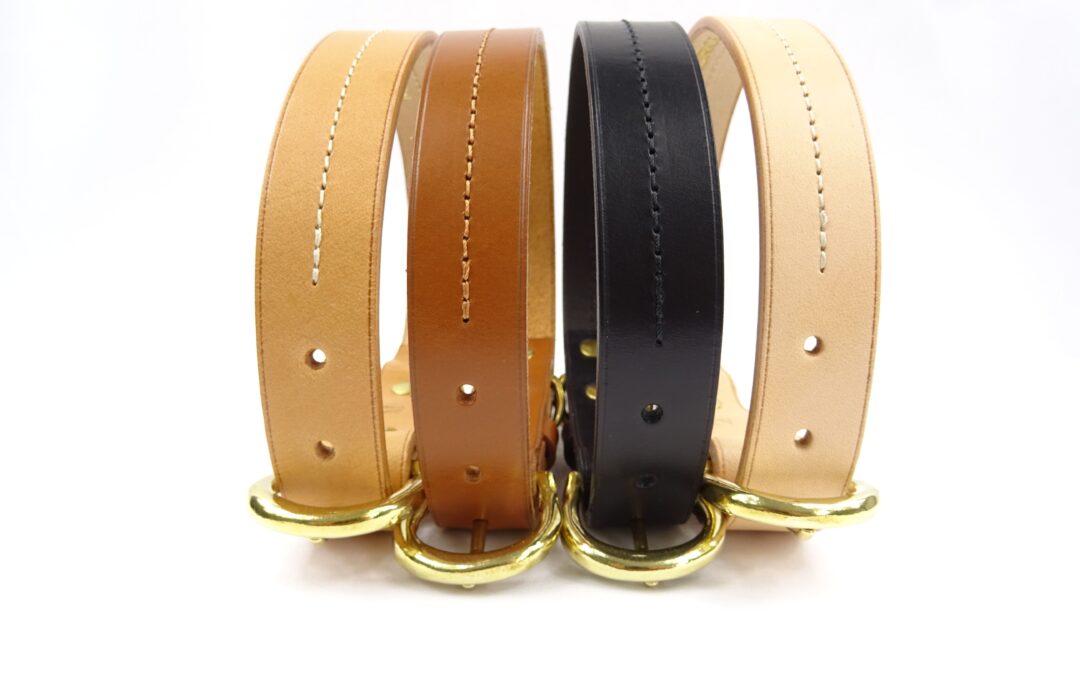 Collier pour chien en cuir CANIS LUPUS