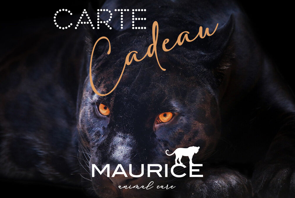E-carte Cadeau MAURICE