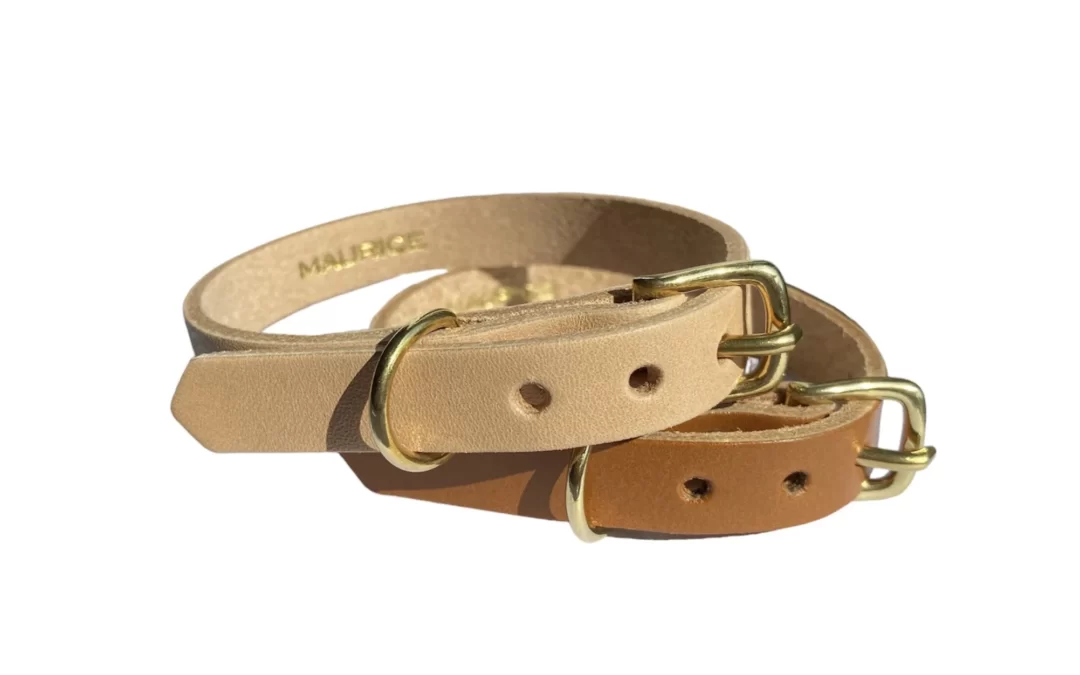 Collier pour petit chien en cuir LYCAON PICTUS