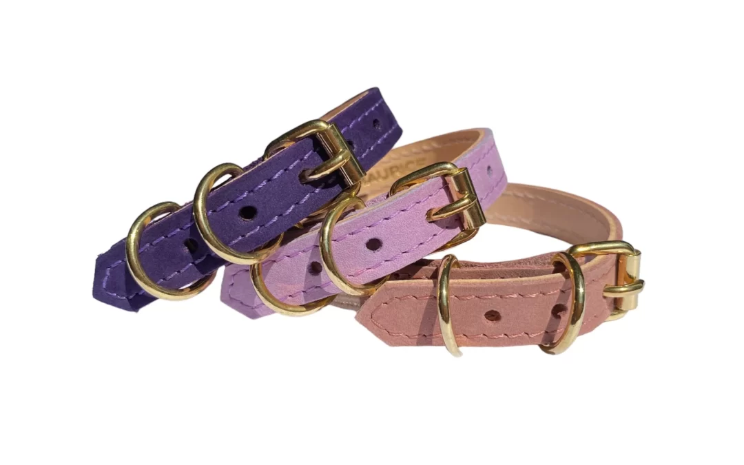Collier pour chat en nubuck PANTHERA UNCIA