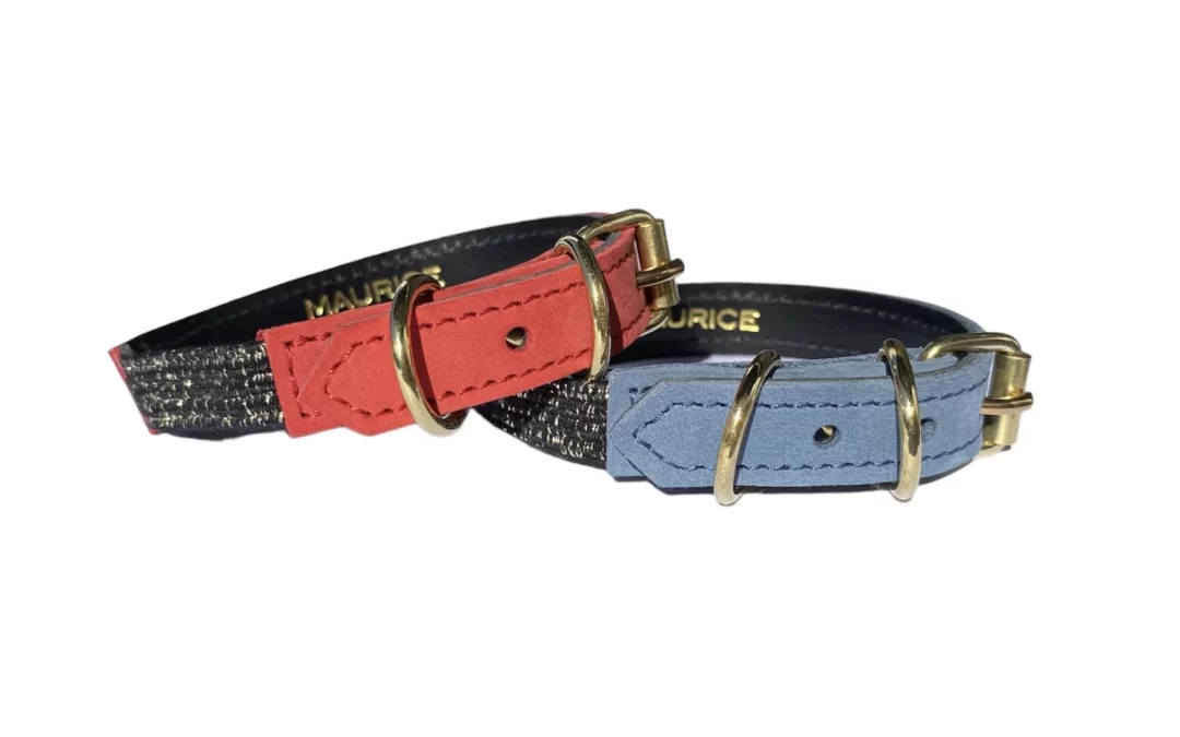 Collier pour chat en nubuck PANTHERA ONCA