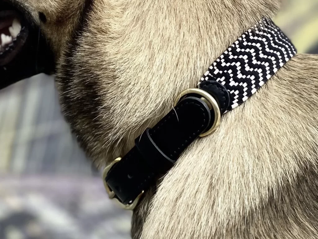collier pour chien en coton tressé