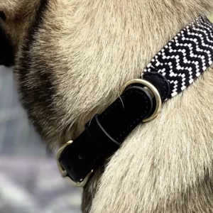 collier pour chien en coton tressé