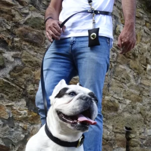 kit longue balade chien rs