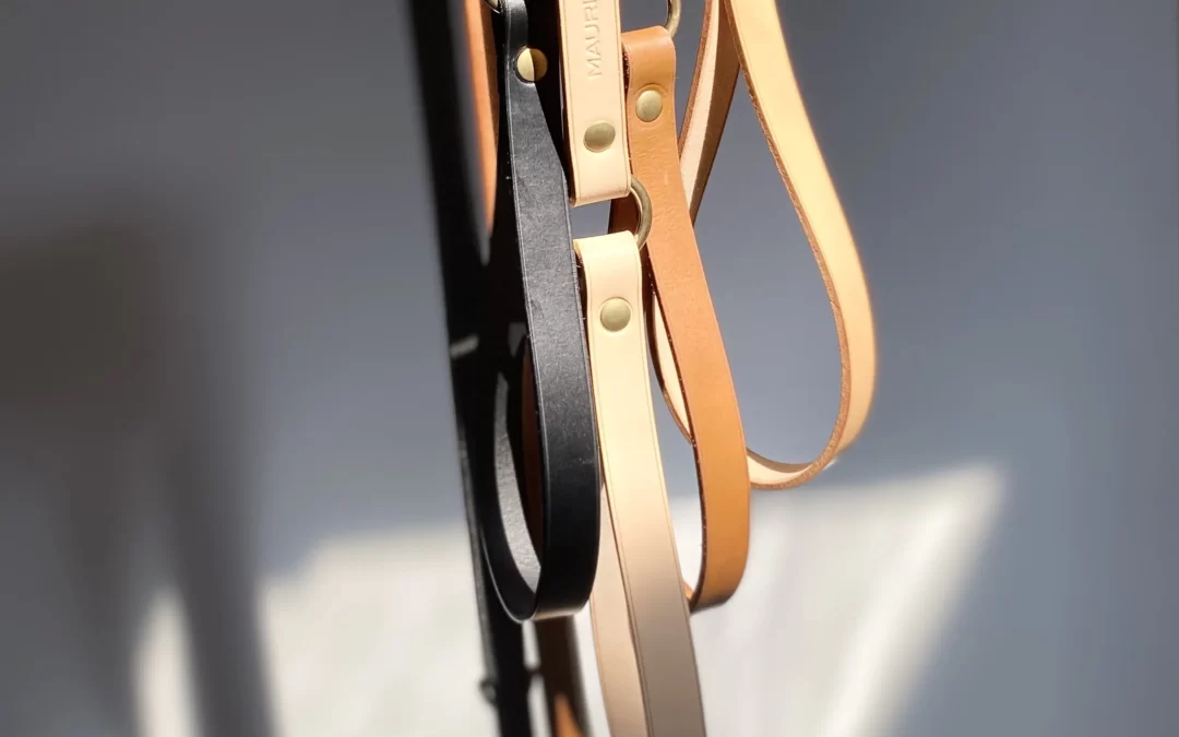 Laisse en cuir pour chien DUGONG DUGON
