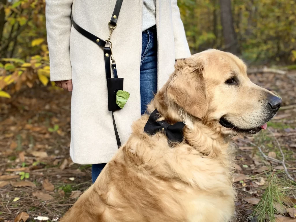 laisse en cuir multiposition rs pochette ca black olden