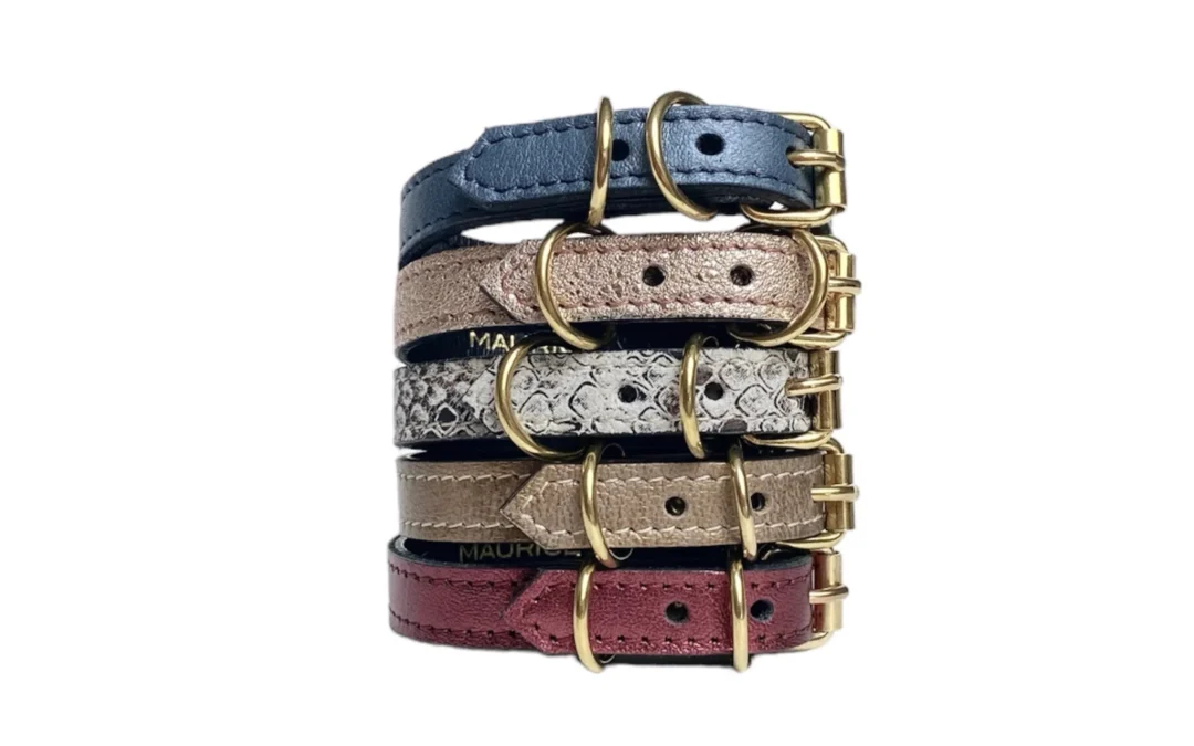 Collier pour chihuahua en cuir MEGAPTERA NOVAEANGLIAE