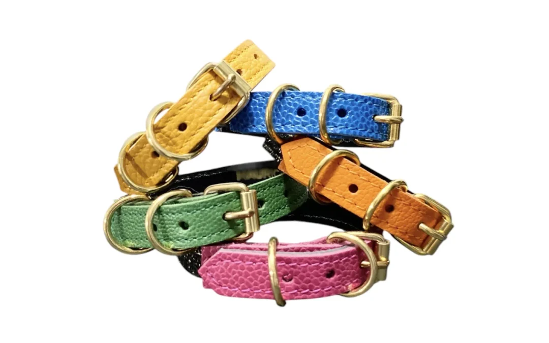 Collier pour chat en cuir LYNX LYNX