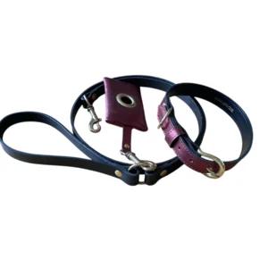 kit chien élégance onthego 1