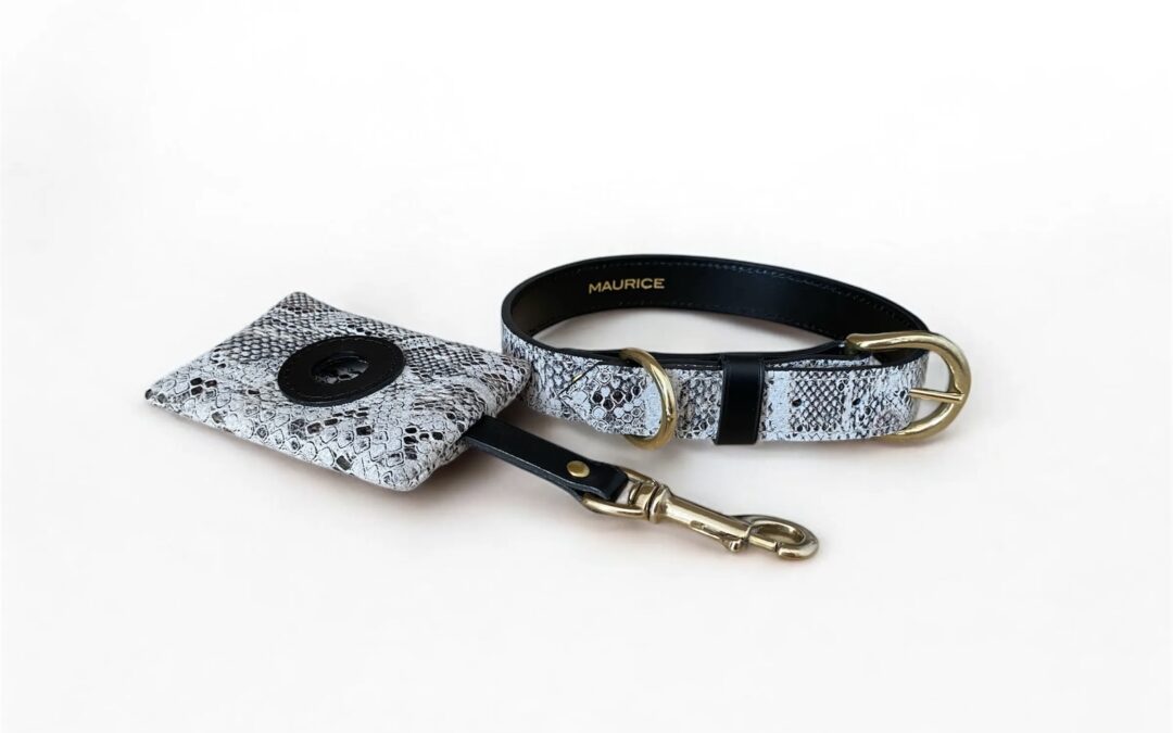 Kit collier + pochette pour chien IntoTheWild MAURICE