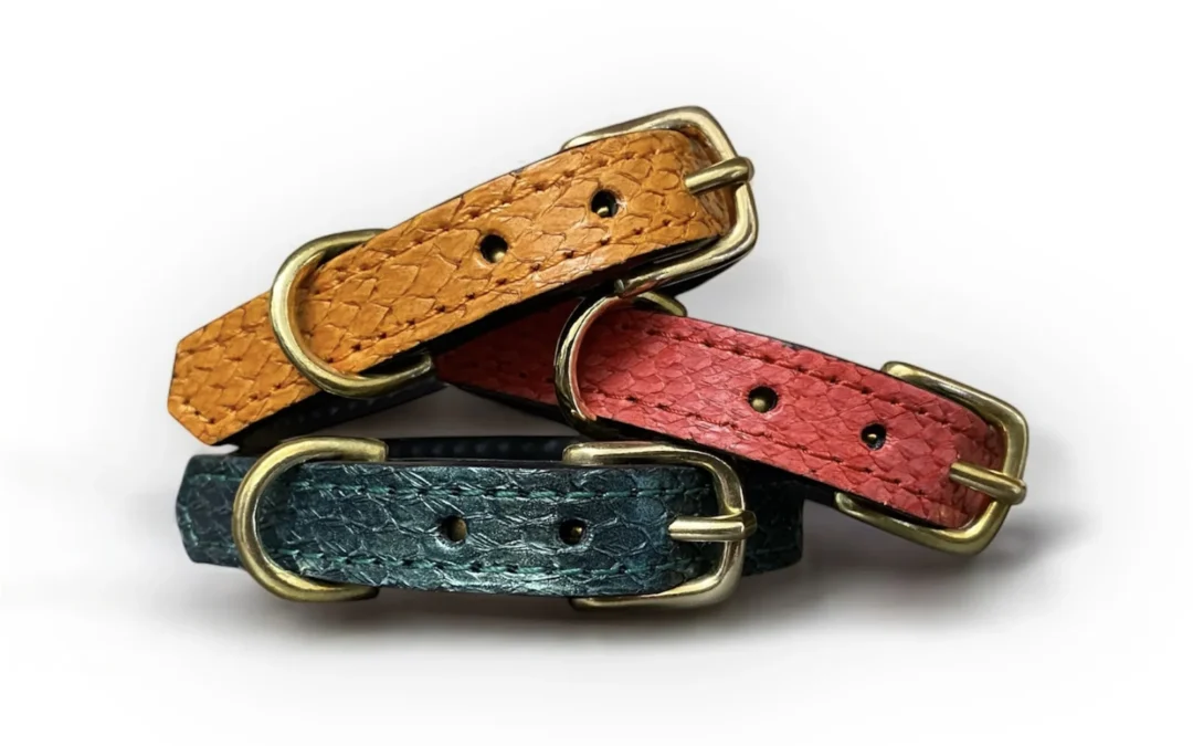 Collier pour petit chien en cuir marin PONGO