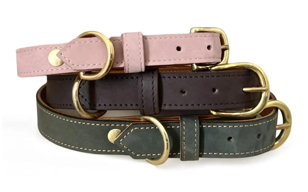 Collier pour chien en nubuck URSUS ARCTOS