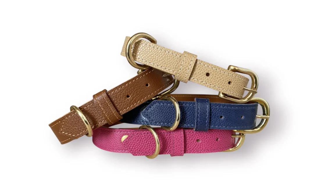 Collier pour chien en cuir grainé AILURUS FULGENS