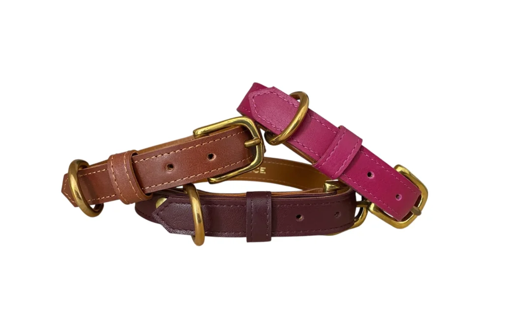 Collier pour chien en cuir HYÆNA BRUNNEA