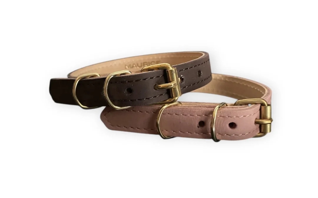 Collier pour petit chien en nubuck BUBO BUBO