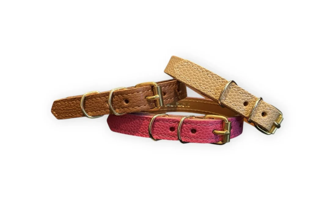 Collier pour petit chien en cuir grainé ATELES HYBRIDUS