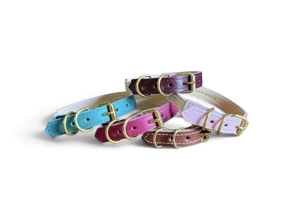 colliers pour chat en cuir colorés maurice