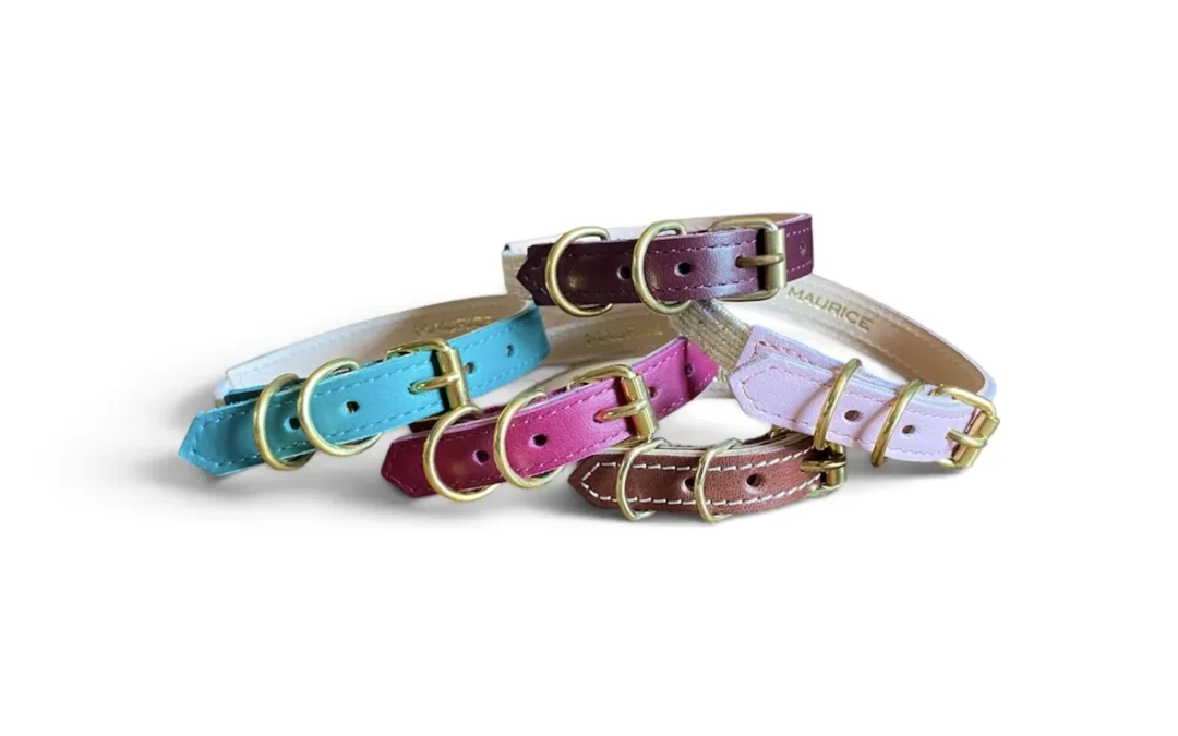 Collier pour chat en cuir ACINONYX JUBATUS