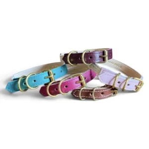 colliers pour chat en cuir colorés maurice