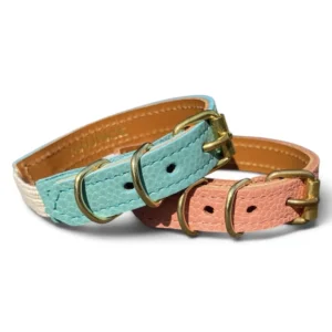 colliers pour chat en cuir