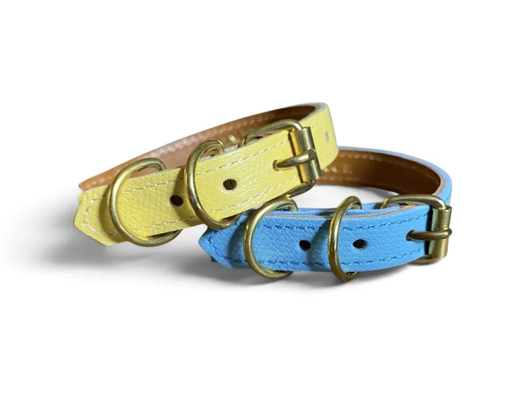 colliers pour chats en cuir jaune et bleu
