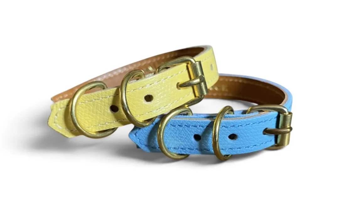 Collier pour chat en cuir grainé NEOFELIS NEBULOSA