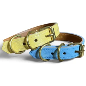 colliers pour chats en cuir jaune et bleu