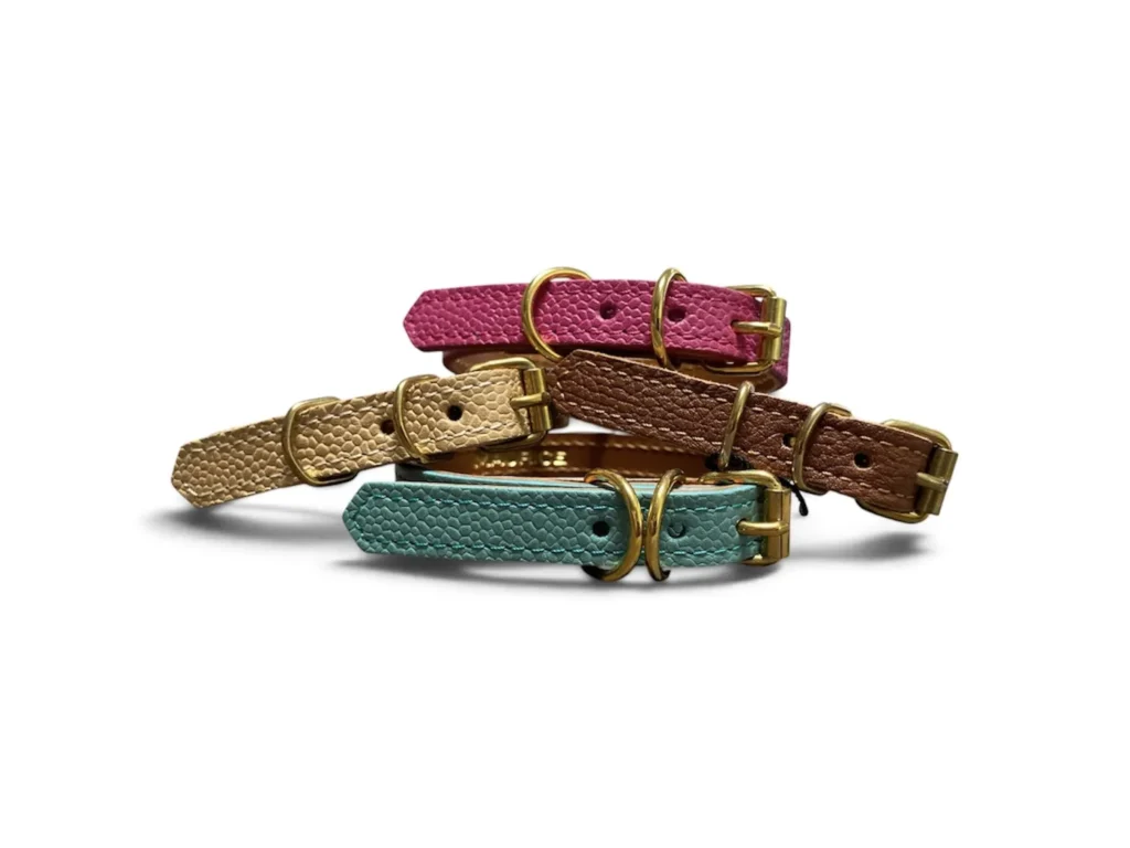 colliers pour petits chiens en cuir colorés
