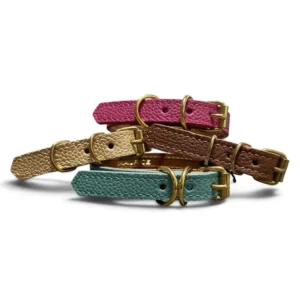 colliers pour petits chiens en cuir colorés