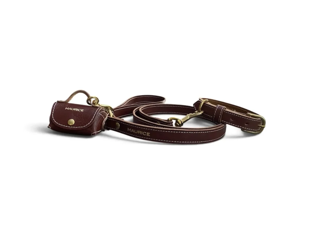 ensemble collier laisse pochette en cuir marron pour chien