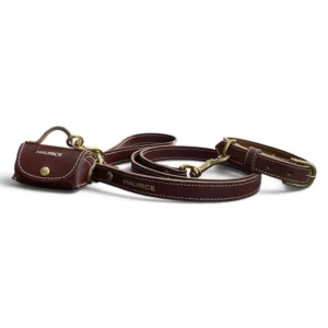 ensemble collier laisse pochette en cuir marron pour chien