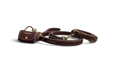 Idée cadeau de Noël pour chien : 4 parures en cuir Made in France