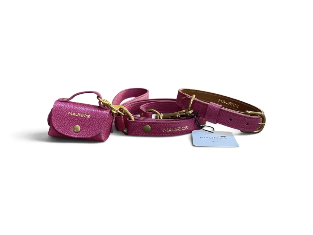 ensemble collier laisse pochette en cuir rose pour chien