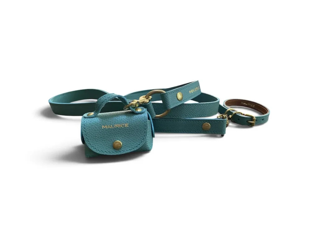 ensemble collier laisse pochette en cuir vert pour chien