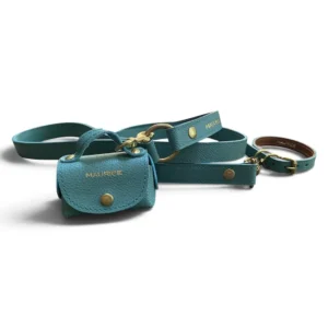 ensemble collier laisse pochette en cuir vert pour chien