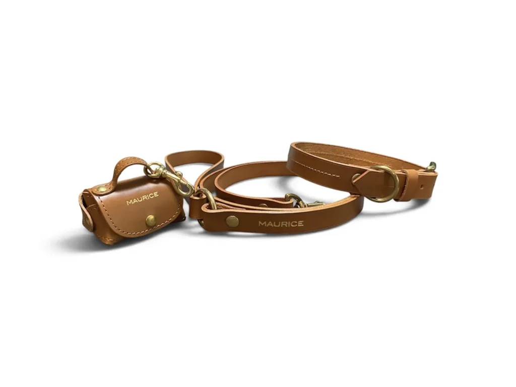 ensemble en cuir marron pour chien collier laisse pochette sacs à crottes
