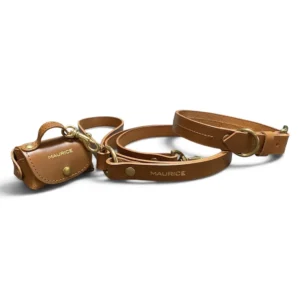 ensemble en cuir marron pour chien collier laisse pochette sacs à crottes